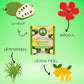 Dr. Tea Wellness Soursop Herbal Tea With Lemon Flavor - 20 Tea Bags