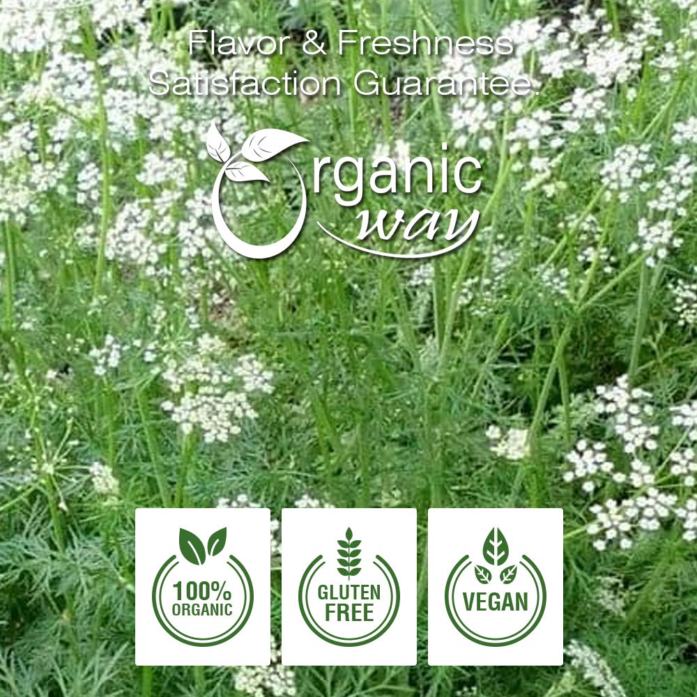 Organic Way Premium Cumin/Jeera Seeds Whole (Cuminum Cyminum) - Adds Flavour & Aroma | Organic & Kosher Certified | Raw, Vegan,