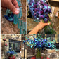 Sunne Tropical Orchidclub Usa Fresh Cut Flowers Dendrobium Orchids (10 Stems Blue)