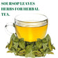 Gabio Green Soursop Leaves, Dried Herbs, Resealable Bag, 4.5 oz, Non-GMO, Gluten Free, Approx. 350 Leaves