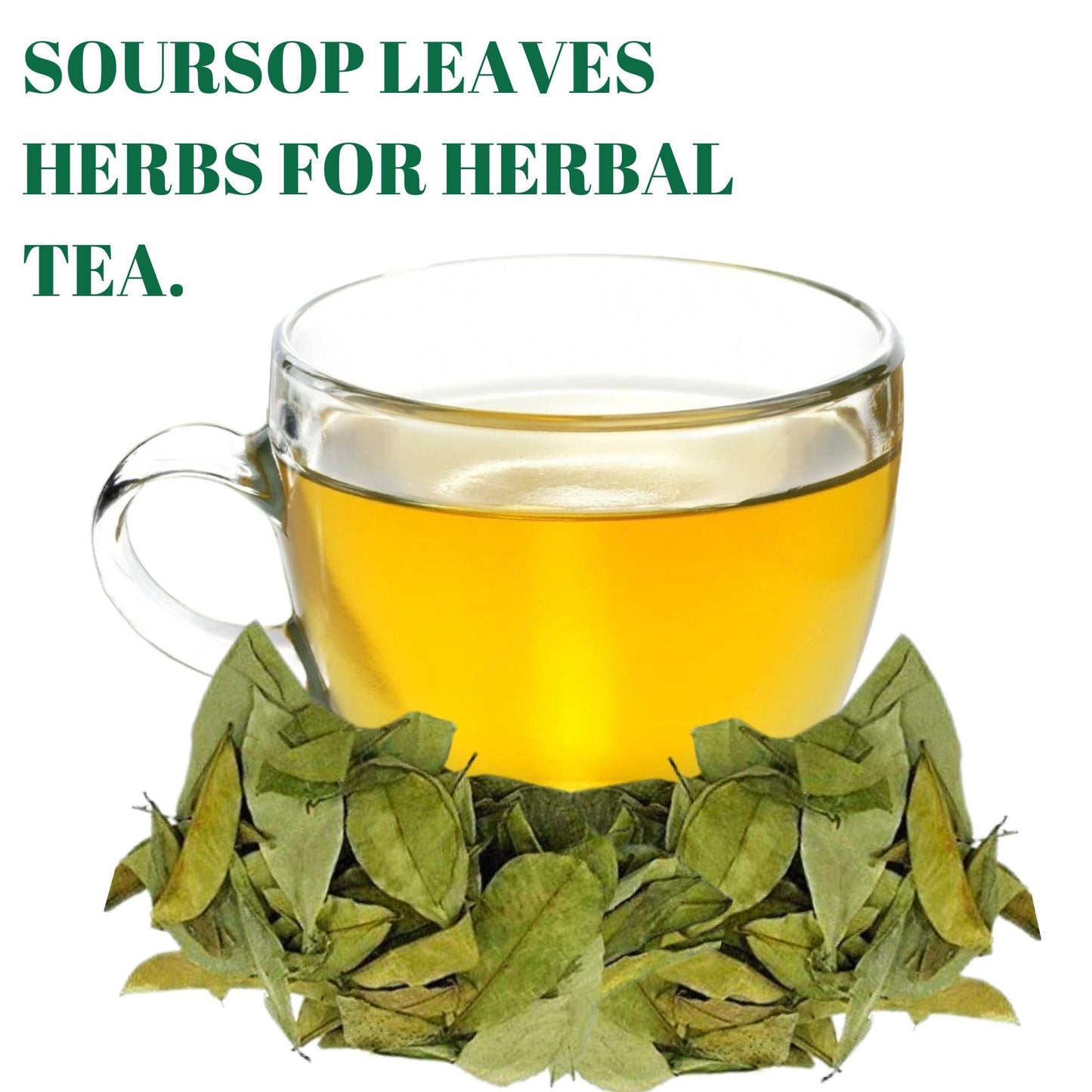 Gabio Green Soursop Leaves, Dried Herbs, Resealable Bag, 4.5 oz, Non-GMO, Gluten Free, Approx. 350 Leaves