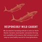 King Oscar Mackerel in Sweet Thai Chili Sauce  4.05 Ounce Can (Pack of 12)  Skinless & Boneless  Wild Caught Canned Mackerel