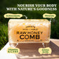Jamie'S Hive To Table 100% Raw Honeycomb, 48 Oz (Pack Of 12) - All-Natural Pure Georgia Honeycomb - Fresh Georgia Honeycomb With