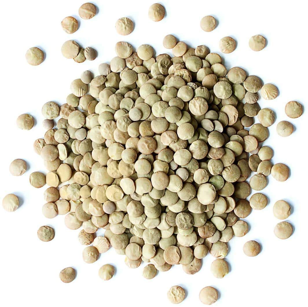 Food To Live - Whole Green Lentils, 1 Pound Dried Raw Lentils, Sproutable, Kosher, Vegan. Rich In Dietary Fiber, And Protein. No