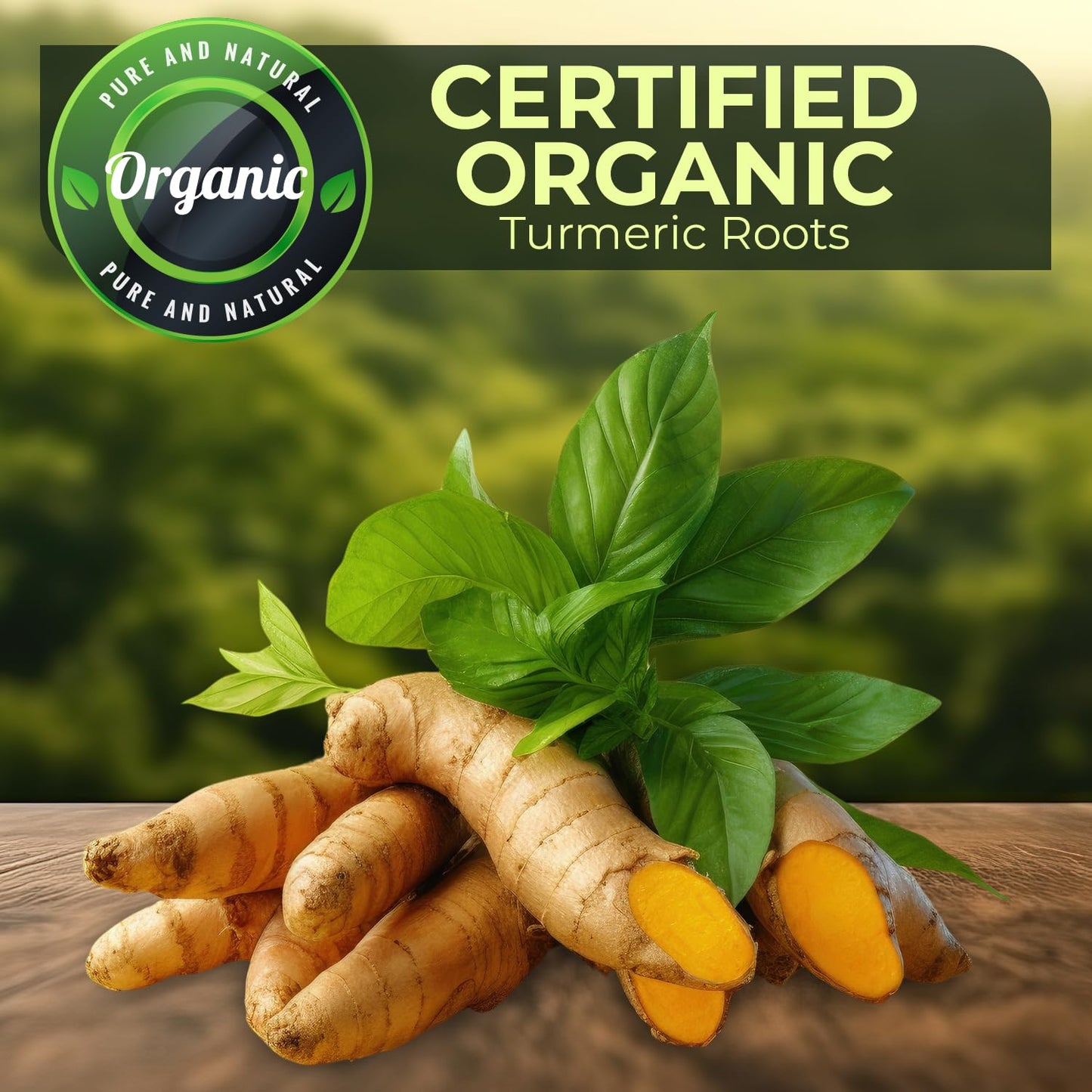 Turmeric Zone Organic Turmeric Root Box - Fresh, 1 lb - Support American Farmers