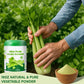 Gephron 18OZ Pure Celery Powder - 100% Natural, Non-GMO, Gluten-Free Seasoning, Perfect for Smoothies and Baking