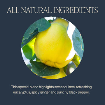 Rishi Tea Quince Eucalyptus Herbal Tea - Organic, Caffeine Free, 15 Count Sachet Bags, Direct Trade