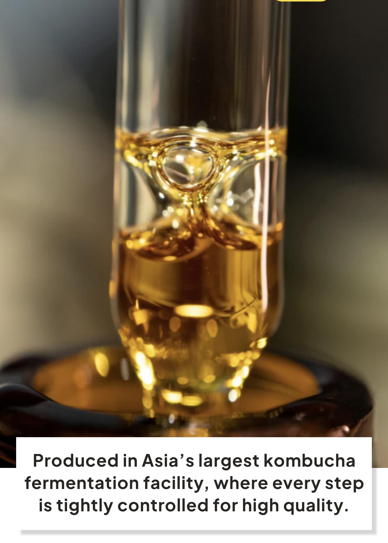 Korean Food I'M Alive Kombucha Powder Pineapple(5G*14 Sticks) Authentic Fermented Kombucha With Papain & Bromelain For 7 Days, N
