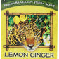 The Mate Factor Yerba Mate Energizing Herb Tea, Lemon Ginger, 20 Tea Bags (Pack Of 3)