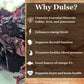 Natural Zing 100% Pure Dulse Flakes | (Raw, Wildcrafted) | 8 Oz | Iodine | Minerals | Sea Vegetable | Cleaned Thoroughly | No De
