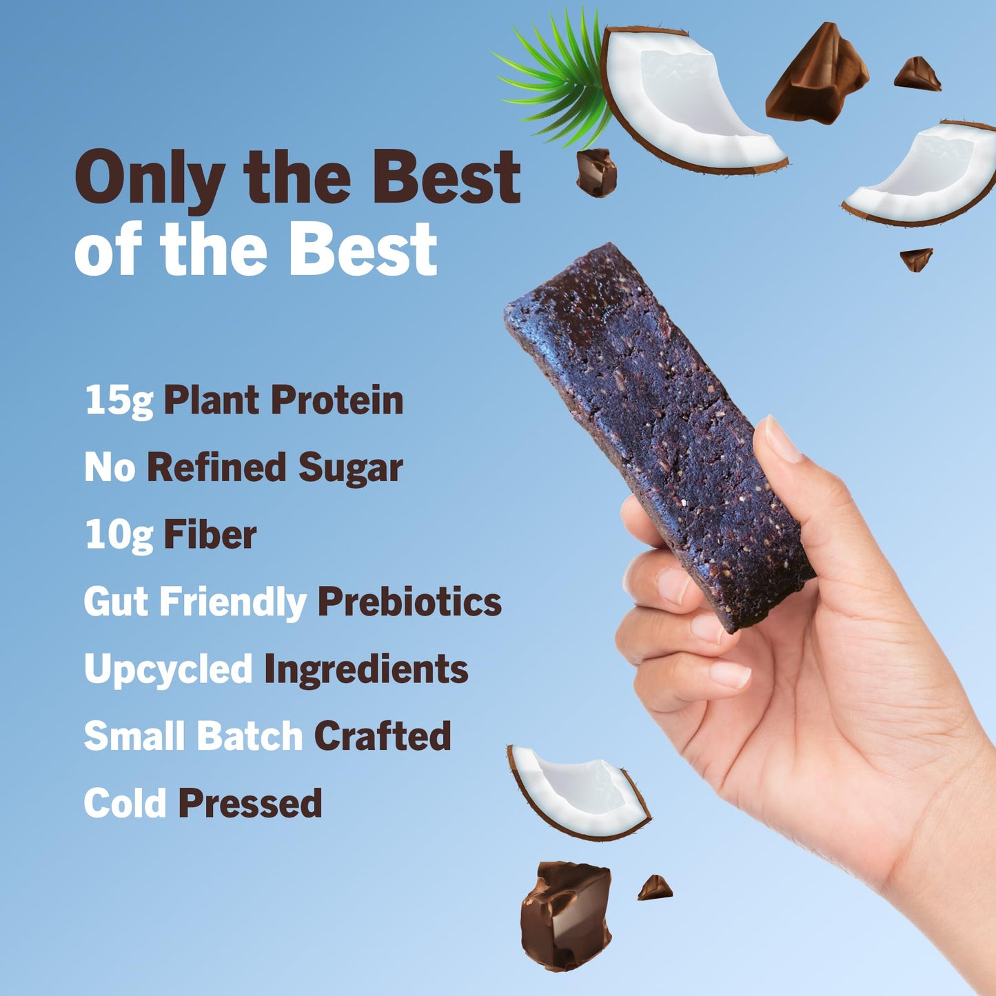 Amrita Chocolate Chip Coconut Vegan Protein Bars - 15g Plant-Based Protein, Gluten Free, 12 Count Pack