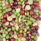 Bean Salad Sprouting Seed Mix- Organic- 1 Lbs- Mix Of Bean Sprout Seeds: Adzuki, Mung Bean, Green Lentil & Radish. For Sprouting