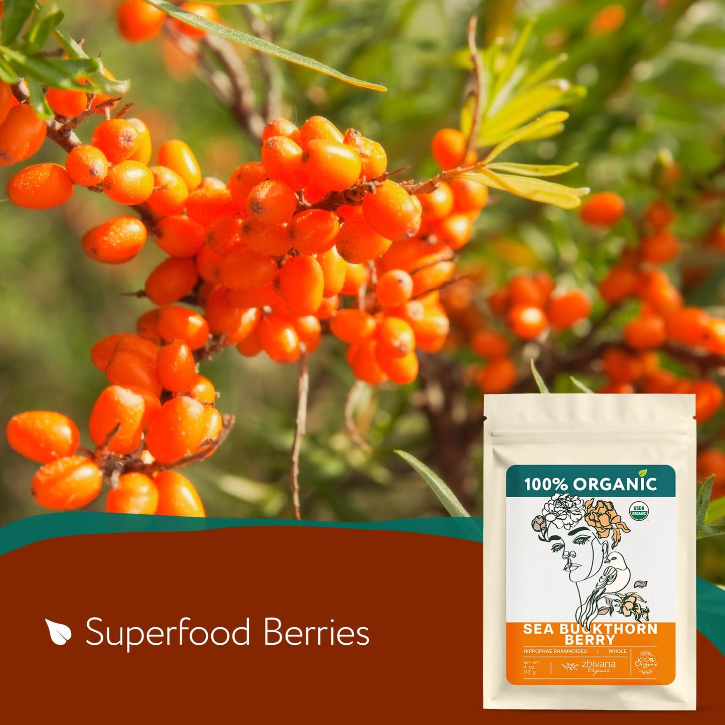 Organic Sea Buckthorn Berry - Sea Buckthorn Tea, Dried Seaberry, Seabuckthorn - Espino Amarillo - Rich In Nutrients Superfood Be