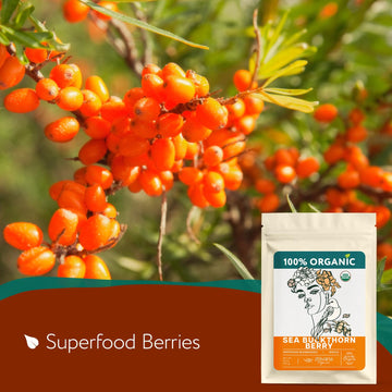 Organic Sea Buckthorn Berry - Sea Buckthorn Tea, Dried Seaberry, Seabuckthorn - Espino Amarillo - Rich In Nutrients Superfood Be