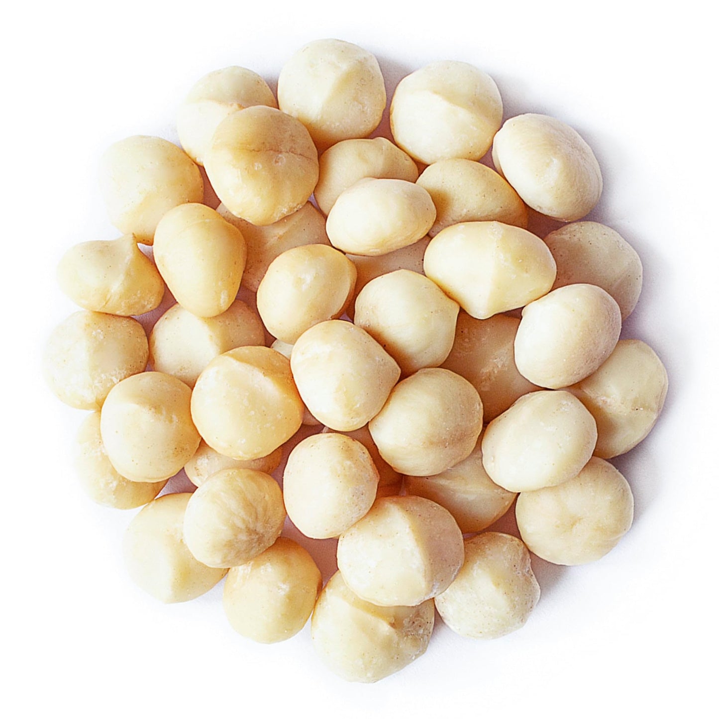 Whole Macadamia Nuts, 18 Pounds - Non-Gmo Verified, Raw, Unsalted, Unroasted, Keto Friendly, Kosher, Vegan, Bulk, Great As Snack