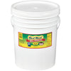 Best Maid Dill Pickle 5 Gallons | Foodservice Bulk | Concession Stand Items | Gourmet | American Grown & Made | Take Home a Tast