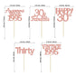 Gyufise 30Pcs Rose Gold Vintage 1993 Cupcake Toppers Glitter Number 30 Cheers To 30 Fabulous Thirty Cupcake Picks 30Th Birthday