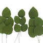 Global Sugar Art Hydrangea Leaves Sugar Cake Flowers Green Mix of Large Medium and Small, 15 Count by Chef Alan Tetreault