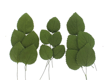 Global Sugar Art Hydrangea Leaves Sugar Cake Flowers Green Mix of Large Medium and Small, 15 Count by Chef Alan Tetreault
