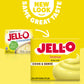 Jell-o Cook & Serve Pudding & Pie Filling Lemon Flavor 2.9 Oz (Pack of 12)