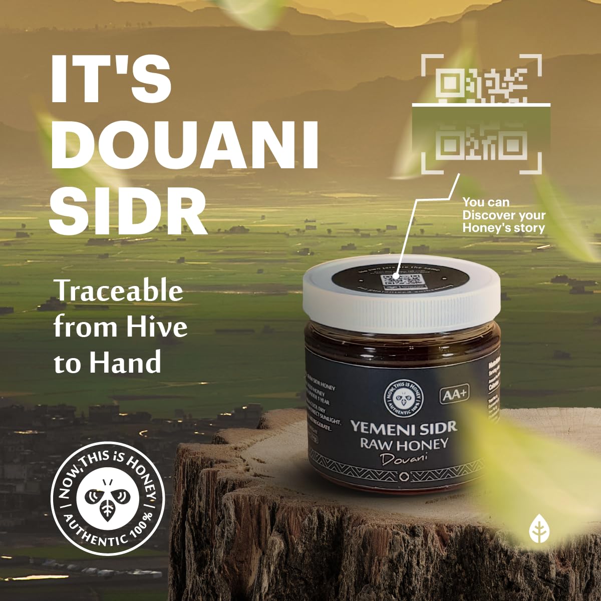 Raw Yemeni Sidr Honey Grade Aa+ Royal Premium Honey, Unpasteurized, And Unfiltered - Authentic Douani Sidr Honey