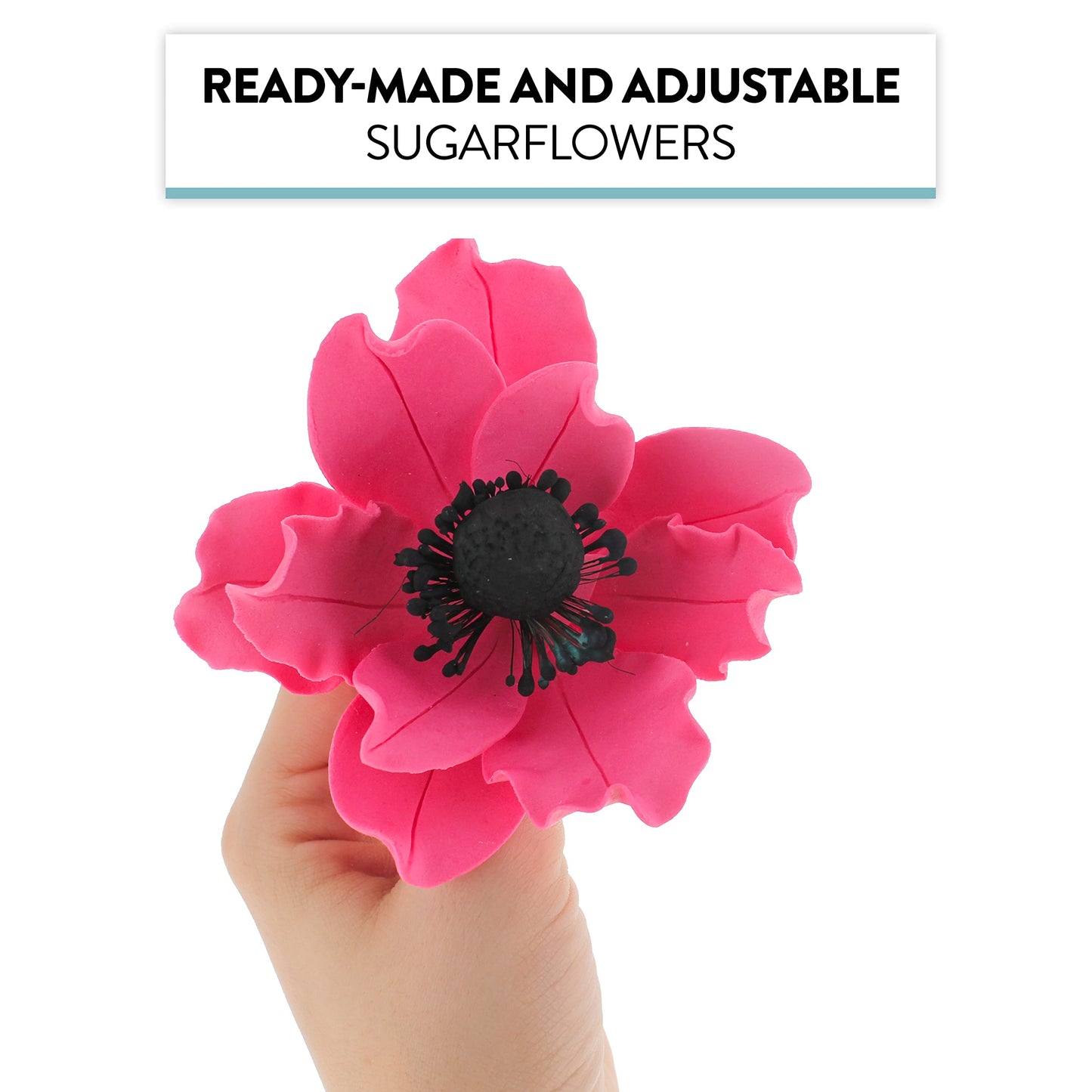 Global Sugar Art Anemone Wind Flower Sugar Cake Flowers Hot Pink, 3 Count By Chef Alan Tetreault