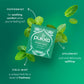 Pukka Three Mint Organic Herbal Tea Bags  After-Dinner Tea  Bags  80 Total Tea Bags (20ct - Pack of 4)