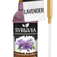 Syruvia Lavender Syrup - Lavender Coffee Syrup Flavor, 25.4 fl oz, Kosher, Gluten Free, Perfect for Coffee, Drinks, Soda, Desser