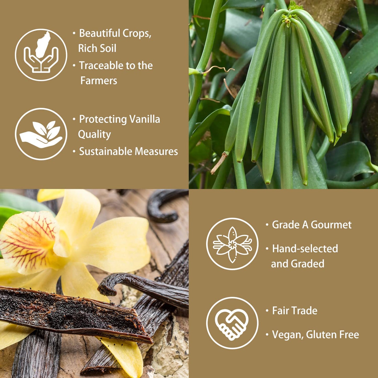 Grelim Vanilla Bean Powder, 100% Pure Ground Madagascar Vanilla Powder,No Fillers Or Additives Great For Baking, Coffee, Smoothi