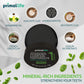 Primal Life Organics - Dirty Mouth Toothpowder, Activated Charcoal Tooth Cleaning Powder, Essential Oils With Kaolin & Bentonite