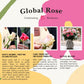 GlobalRose Fresh Cut Assorted Roses - 100 Roses (4 Bundles of 25) Fresh Bouquet for Birthday, Anniversary, Womens Day, or Home