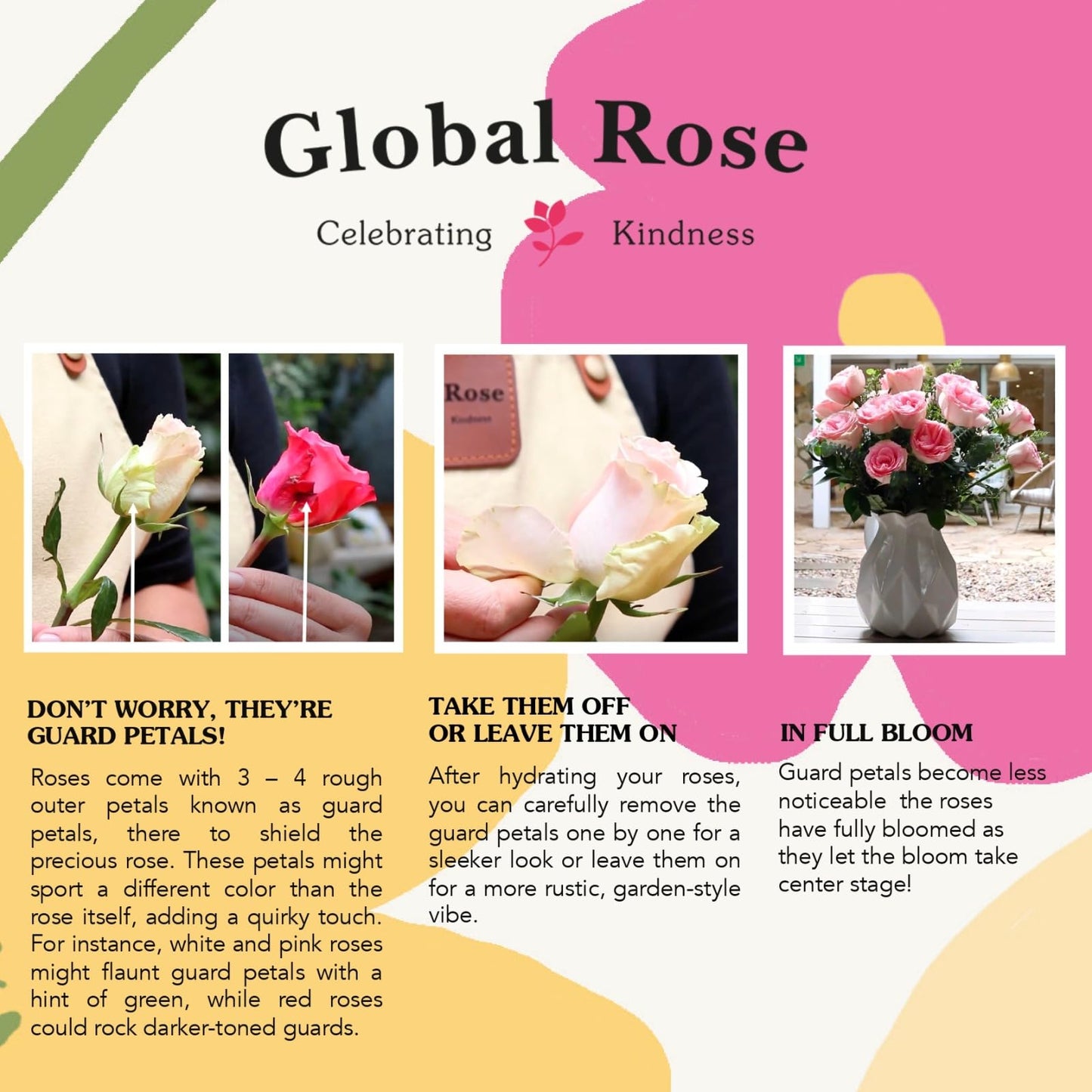 GlobalRose Fresh Cut Assorted Roses - 100 Roses (4 Bundles of 25) Fresh Bouquet for Birthday, Anniversary, Womens Day, or Home