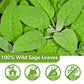 ULTHMOK Premium Sage Tea Bags, 100% Natural, Caffeine Free, 50 Count