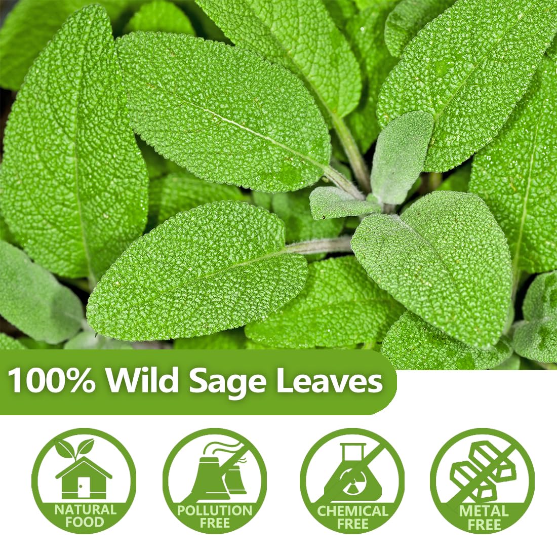ULTHMOK Premium Sage Tea Bags, 100% Natural, Caffeine Free, 50 Count