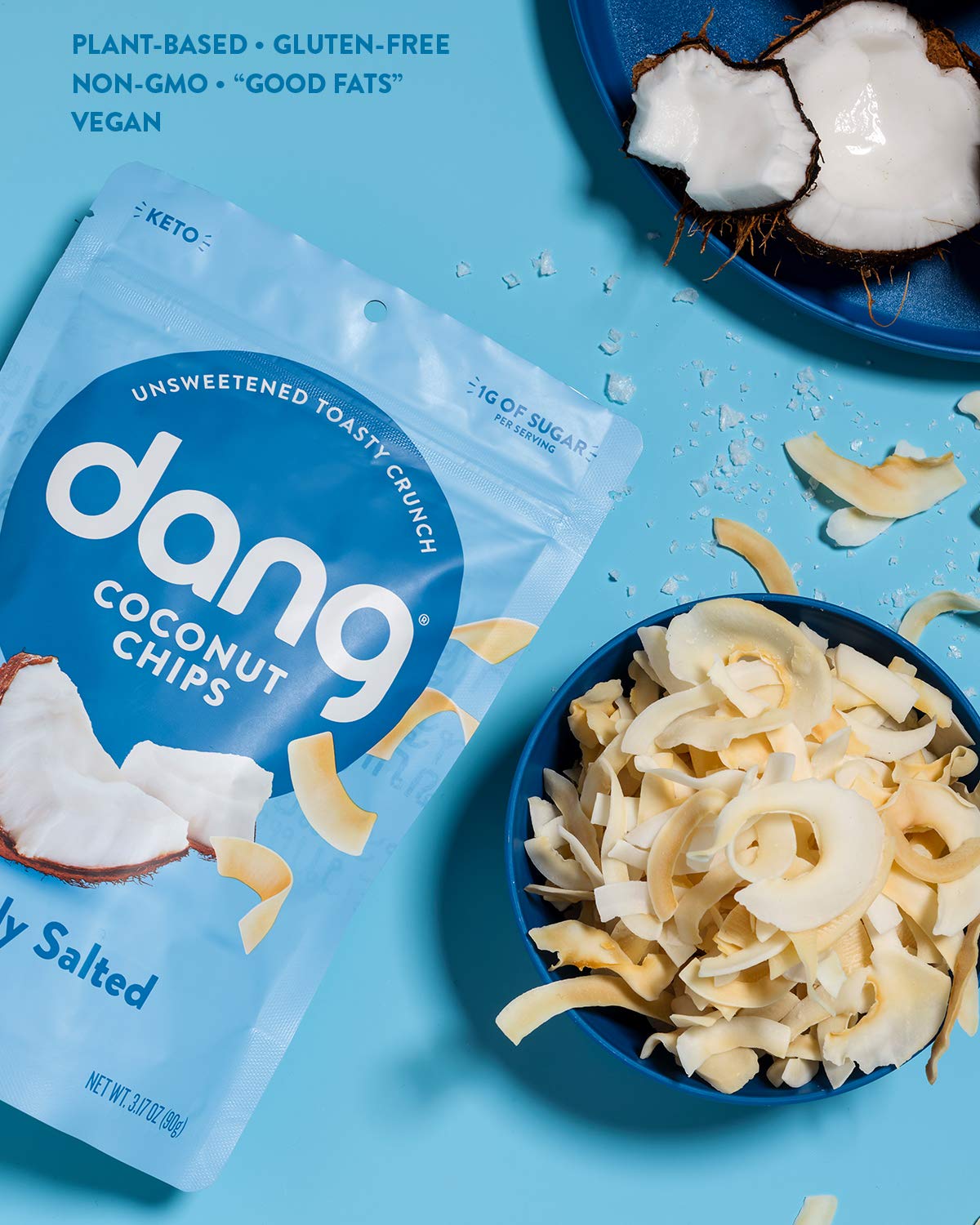 Dang Toasted Coconut Chips | Lightly Salted | 12 Pack | Vegan, Gluten Free, Non Gmo, Healthy Snacks Made With Whole Foods | 3.17