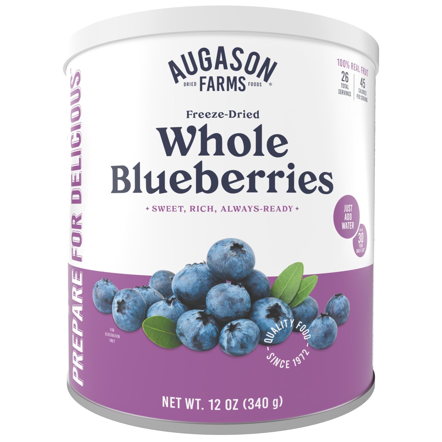 Augason Farms Dried Whole Blueberries Can – Dried Fruit For Baking & Emergency Food Supply – Dehydrated Camping Food With Long Shelf Life For Everyday Meal – 26 Servings