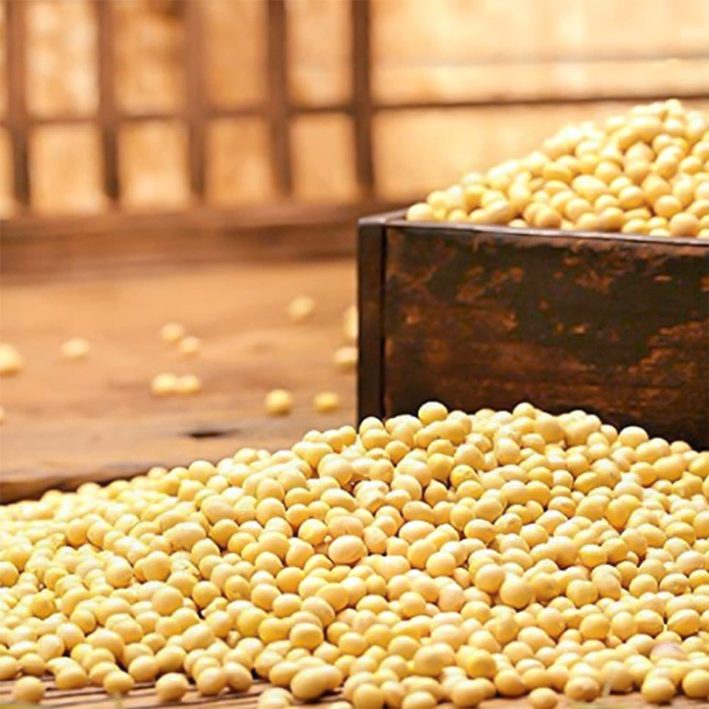 ROM AMERICA Premium Soybeans for Soy Milk, Tofu, Tempeh - 4 Pound Pack