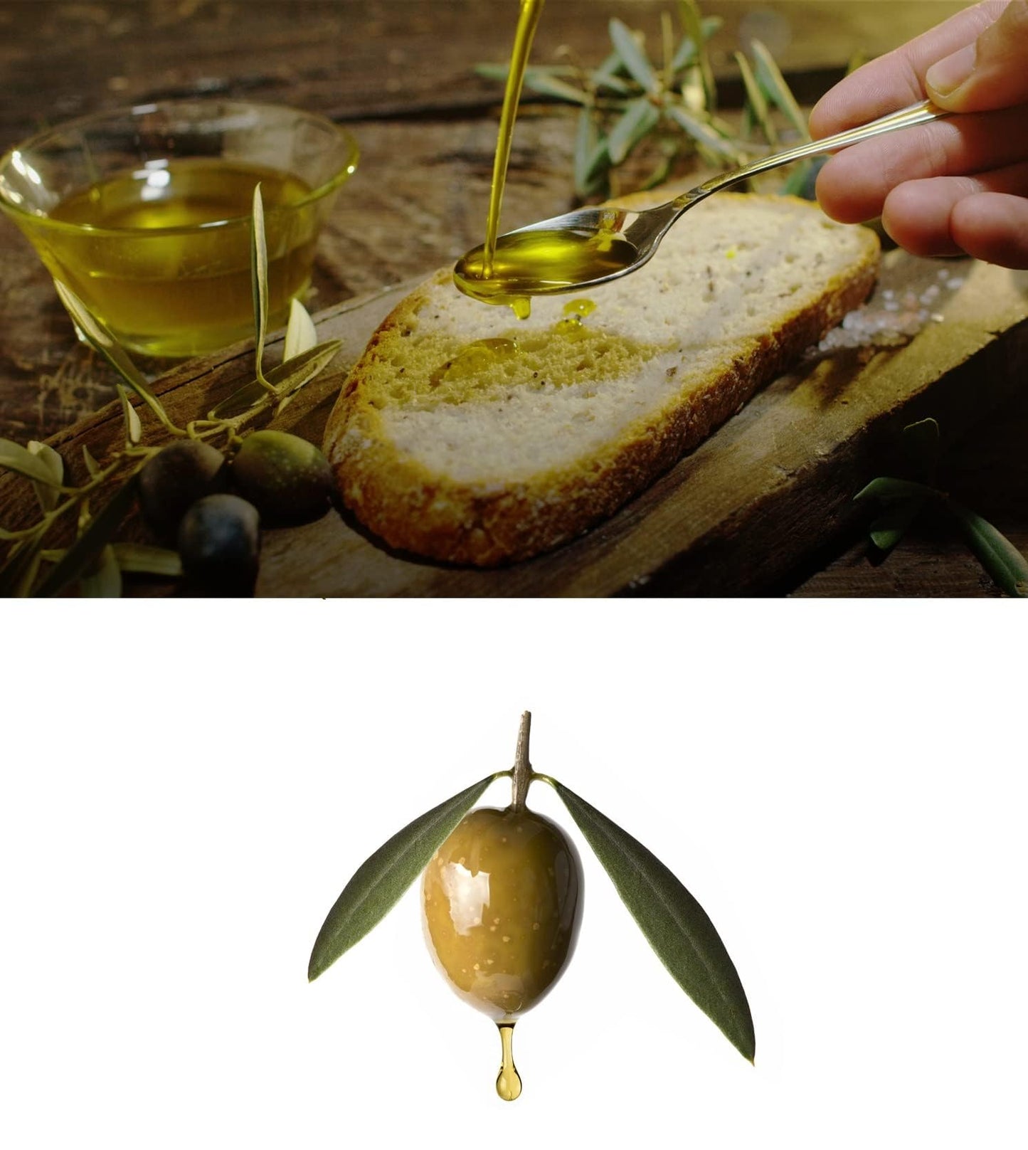 Olivar Santamaria | Extra Virgin Olive Oil | Premium Picual Variety | First Cold Pressed | Spain | High Polyphenol | Perfect For