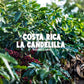 Volcanica Coffee Whole Bean Costa Rica Tarrazu, Fresh Roasted, 16 oz, Brown