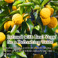Tomosan Yuzu Mochi Candy, Traditional Japanese Citrus Sweets With Yuzu Paste, Soft & Chewy (300G / 10.58Oz)