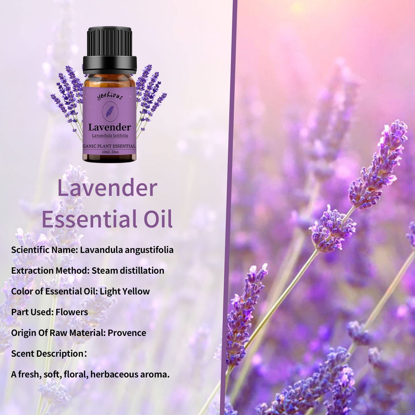 Yethious 2 Pack Lavender Peppermint Essential Oil Set Organic 100% Pure Undiluted Lavender Aromatherapy Oils For Diffuser, Skin,