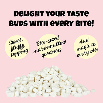 Vanilla Mini Dehydrated Marshmallow Bits In Resealable Bag, 1Lb, Delicious Fresh Bulk White Marshmallows