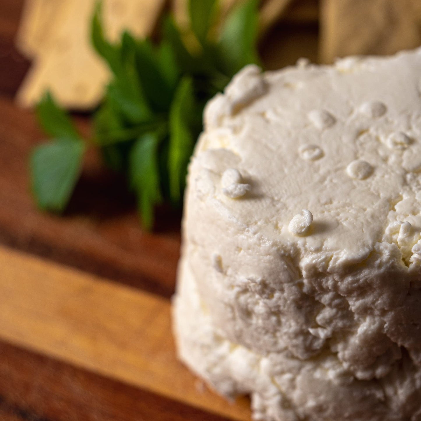Cultures For Health Mesophilic Cheese Starter - 4 Packets + 2 Rennet compact pieces for DIY Cheese Making