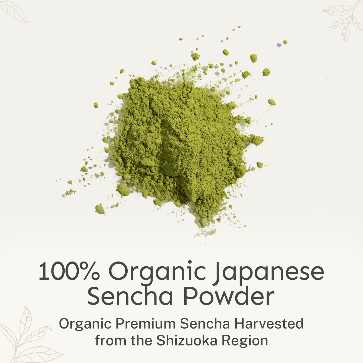 Yu Organic Sencha Green Tea Powder | Antioxidants & L-Theanine | 2.65 oz Pouch (100 Servings)