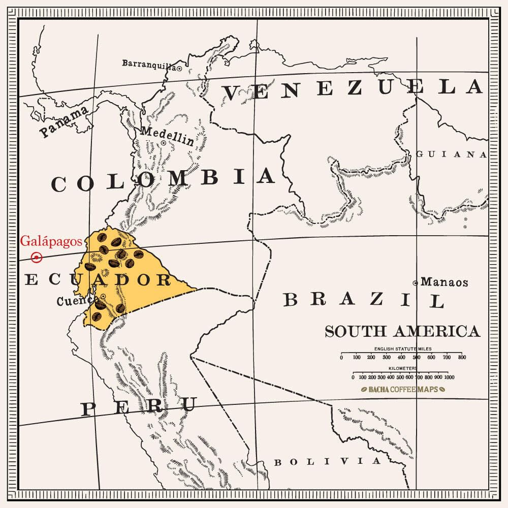 Bacha Coffee | San Crist  Bal Ecuador Single Origin, 100% Arabica Beans, Medium Dark Roast, X12 Individually Wrapped Single Serv