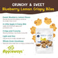 Appleways Blueberry Lemon Healthy Cookies, 20 Count (1.0 Oz Each), Crispy Crunchy Breakfast Biscuits with Blueberry Lemon Flavor