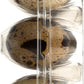 The Farmstand Quail Eggs, 12 Ct