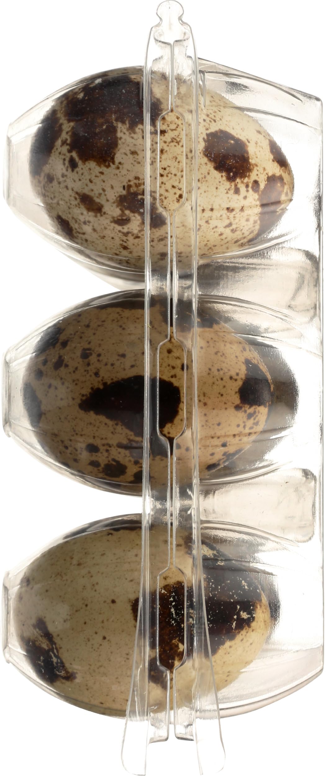 The Farmstand Quail Eggs, 12 Ct