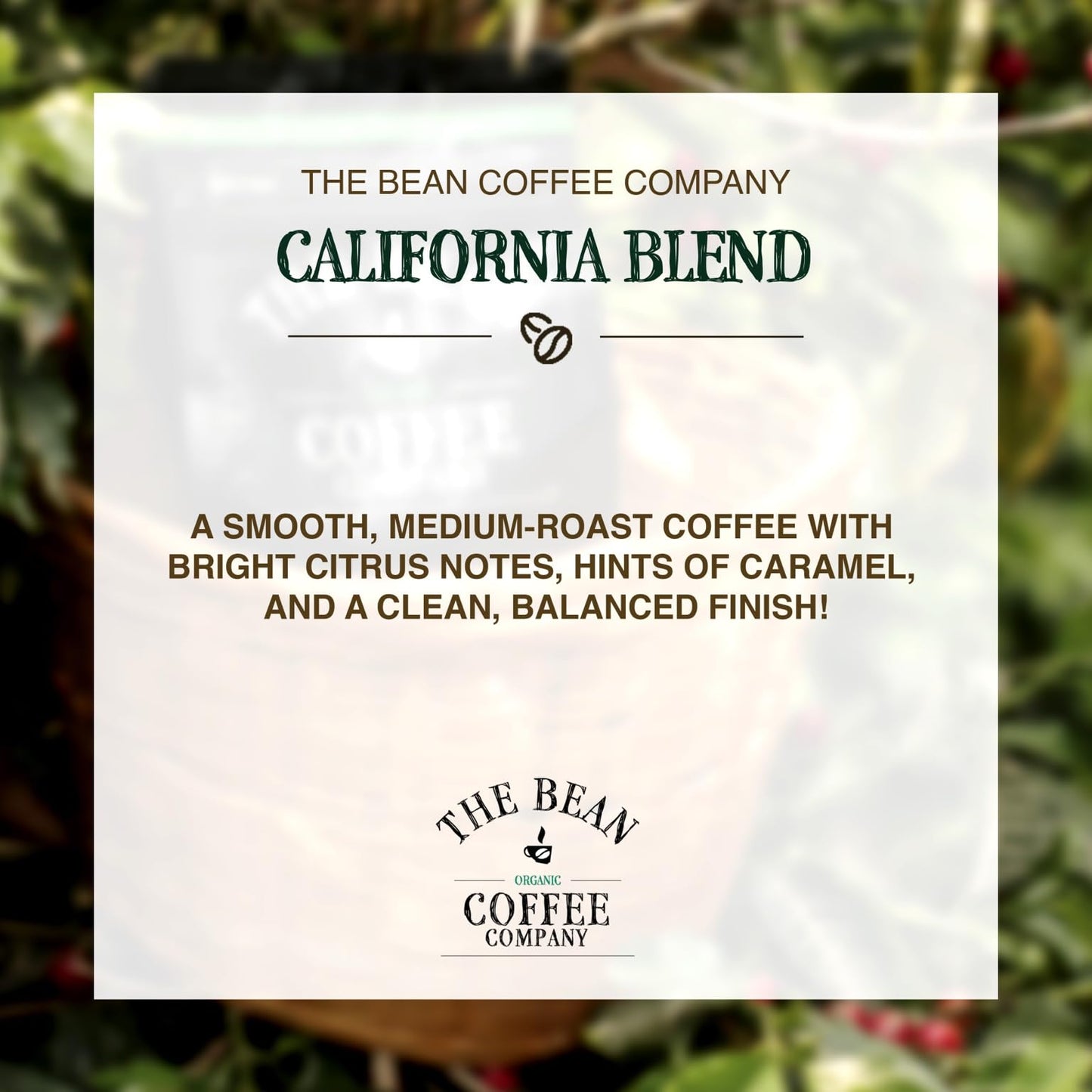 The Bean Organic Coffee Company California Blend, Medium Roast, Whole Bean Coffee, 16-Ounce Bags (Pack Of 2)