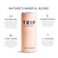 TRIP Adaptogen Seltzer, Peach Ginger, Lightly Sparkling, 12 Fl Oz, Pack of 12, Vegan, No Added Sugar
